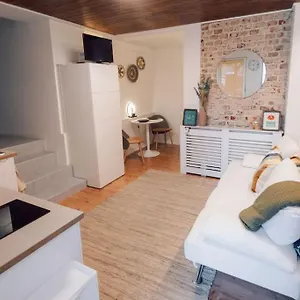 Apartment 13 Loft Mit Terrasse, Teublitz